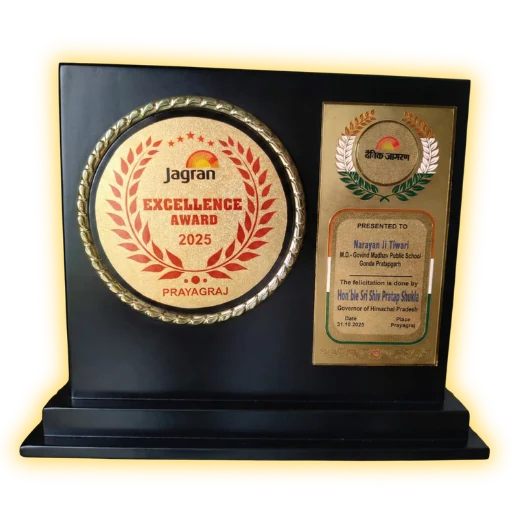 Excellence Award